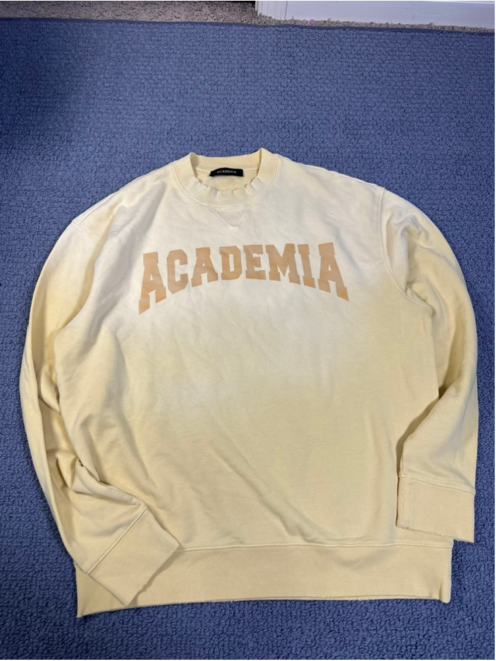Academia Oversized Cream Crewneck Sweatshirt Collegiate Graphic Pullover